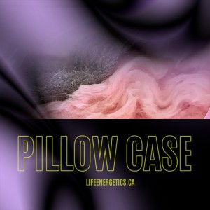 Pillow Blanket & Pillow Case (Inhouse)